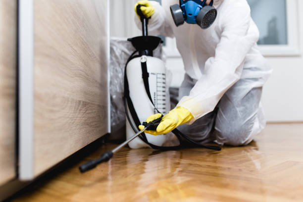 Best Commercial Pest Control Services  in Daingerfield, TX