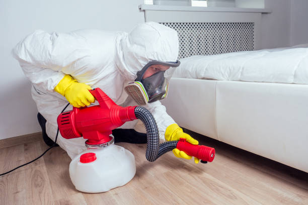 Best Commercial Pest Control Services  in Daingerfield, TX