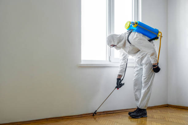 Best Cockroach Control Services  in Daingerfield, TX